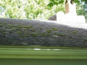 cleaning of roofs